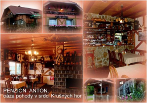 Отель Restaurant Pension-Anton  Яхимов